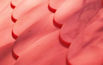 Frodesley plastic roof costs