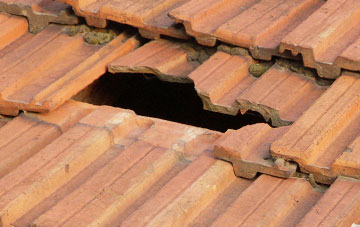 roof repair Frodesley, Shropshire